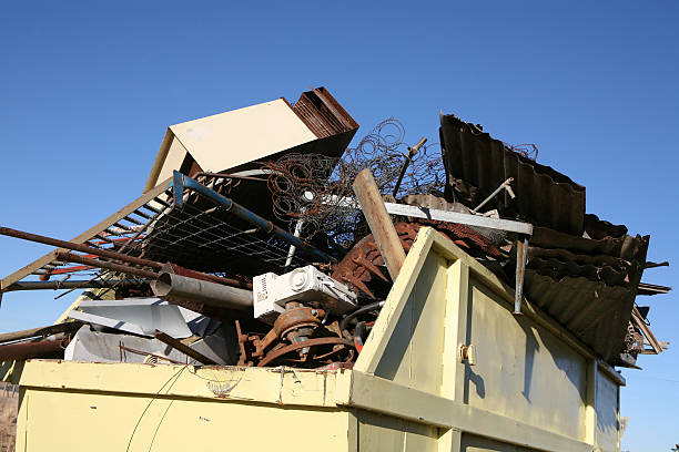 Best Professional Junk Removal  in Hoopeston, IL